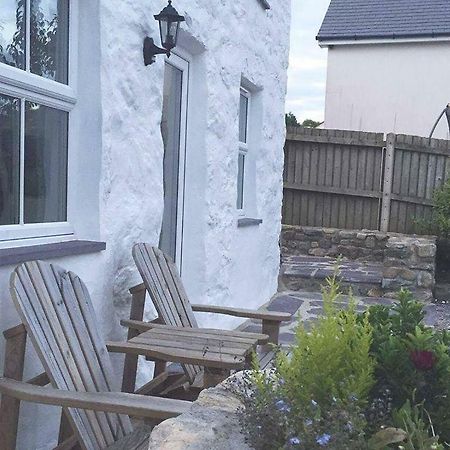 Bryn Golau Villa Brynkir Dış mekan fotoğraf