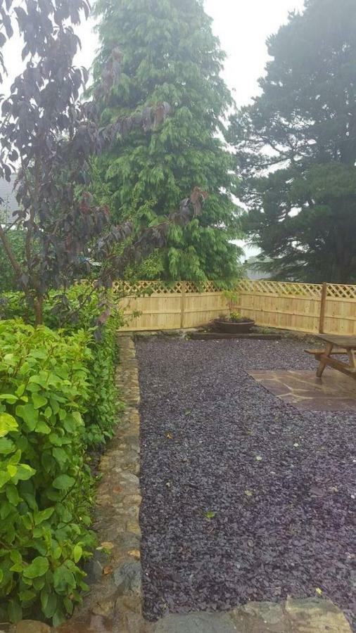 Bryn Golau Villa Brynkir Dış mekan fotoğraf
